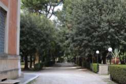 Walking past the courtyard and continuing along the tree-lined road